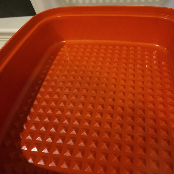 Set of 2 Vintage Tupperware Marinade/Storage Trays Paprika Red w/ Lids - Picture 6 of 11